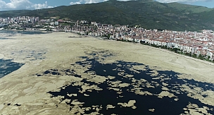Marmara Denizi 1989 yılında öldü!