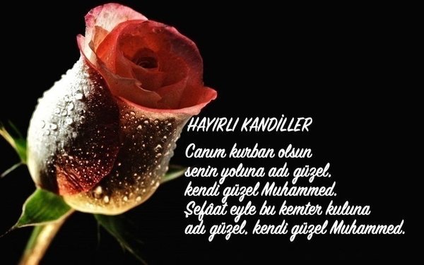 Mevlid Kandili mesajları ve sözleri 2025: Dualı, yazılı, anlamlı, etkileyici ve en güzel resimli Mevlid Kandili mesajları