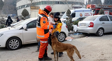 Hassas burunlu köpek 