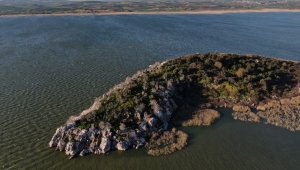 Ada sahibi çiftçi Cristiano Ronaldo'dan umudu kesti Fatih Terim'e seslendi