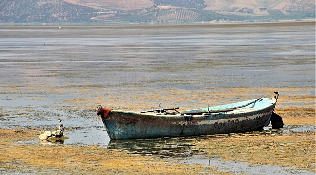 Bir zamanlar 'kuş cennetiydi, şimdi kuraklık tehlikesi ile karşı karşıya
