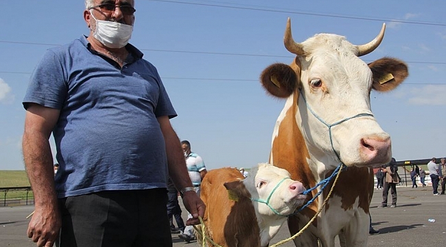 Bu yıl Kurban nasıl kesilecek?