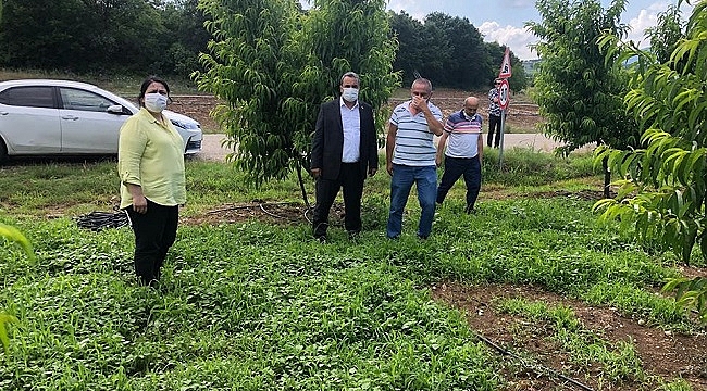 CHP'den doludan zarar gören üreticilere ziyaret