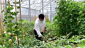 Osmangazi'de Milli Tarım, Milli Huzur 