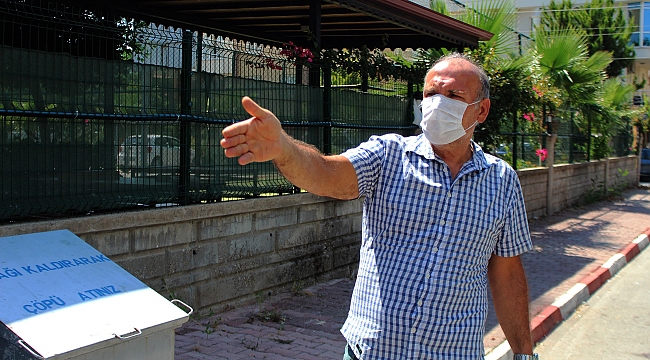 Antalya'da kedileri besleyen hayvansevere tavlalı saldırı iddiası
