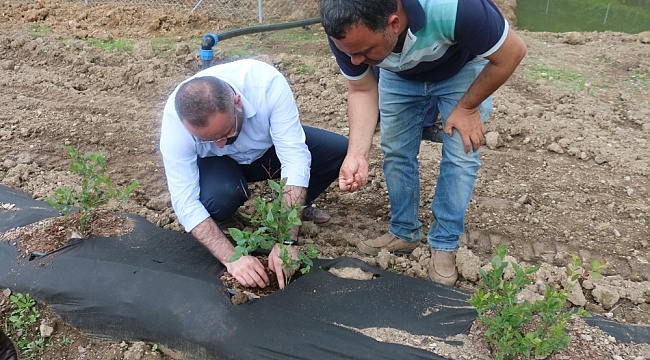 Bursa Büyükşehir çiftçinin yanında