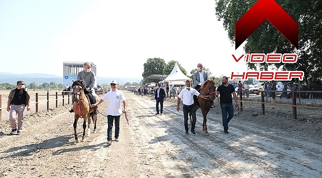 Bursa'da atlı sporlar Büyükşehir'le şahlanıyor