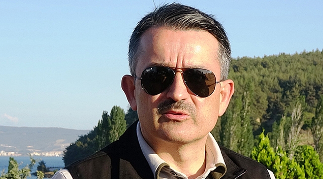 Çanakkale'nin orman yangınları kontrol altına alındı