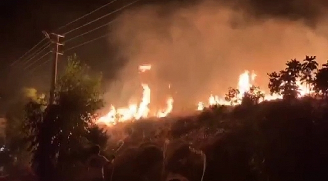 İzmir'de evlere yakın orman yangını