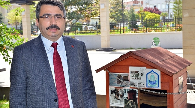 Yıldırım Belediyesi sokak hayvanlarına kucak açıyor