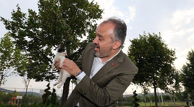 Alinur Aktaş minik kediyi sahiplendi