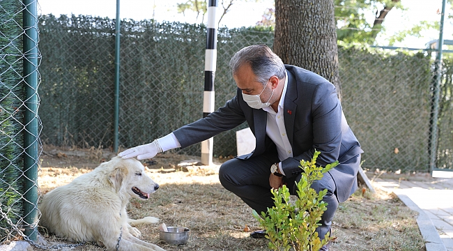 Can dostlarına Büyükşehir şefkati