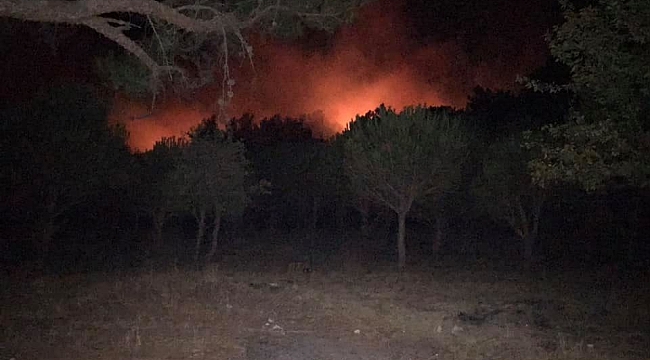 Kazdağları'nda yangın