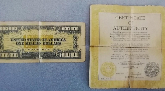 1 milyon dolar banknot ve sertifikası ele geçirildi