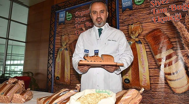 Buğdayın atası artık Bursa’da üretiliyor