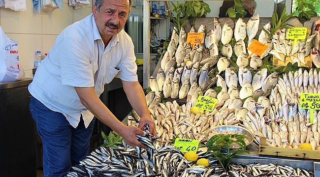 Hamsi cep yakıyor