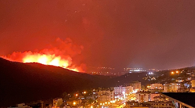 Hatay'da orman yangını sürüyor