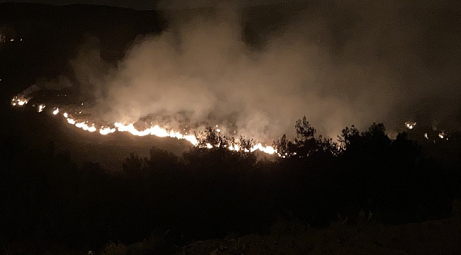 Hatay'da yangın kontrol altına alındı