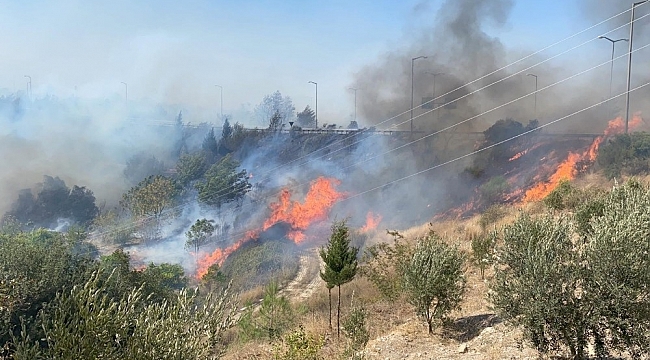 Hatay'daki orman yangını rüzgar nedeniyle kontrol altına alınamıyor