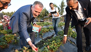 İnegöl tarımı şahlanıyor