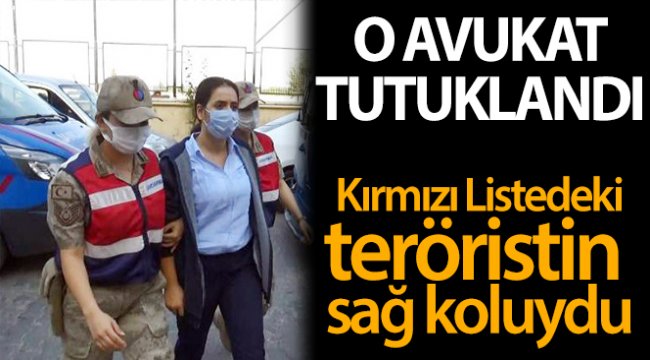 Kırmızı listedeki teröristin sağ koluydu