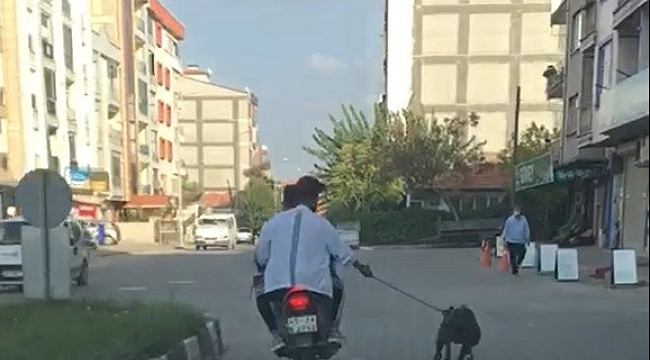 Manisa'da pes dedirten görüntü