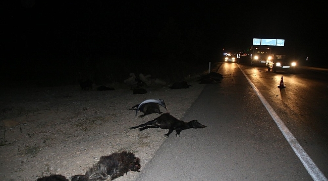 Otomobiller sürüye daldı
