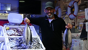 Palamut yerini hamsiye bırakıyor