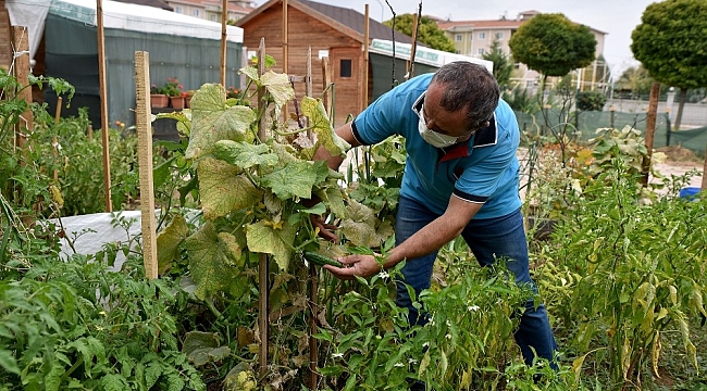 Toprağa dokunarak stres atıyorlar