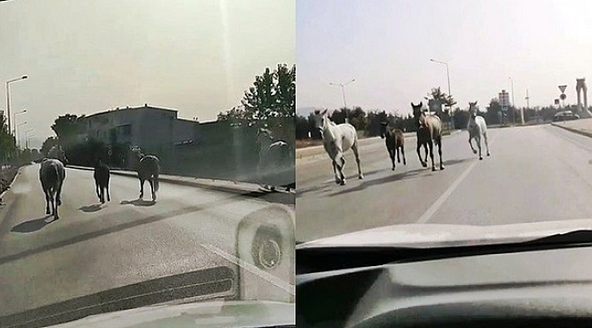 Veliefendi değil Bursa caddeleri