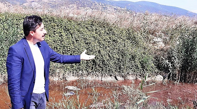 Yenişehir'de çevre katliamı