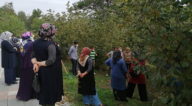 24 çiftçiye budama ve gübreleme eğitimi verildi