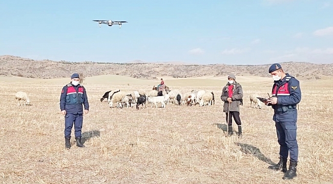 30 küçükbaş hayvan 'drone' yardımıyla bulundu