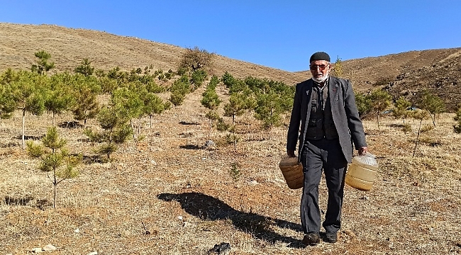 'Orman Dede', babadan kalma arazisini 11 yılda ormana dönüştürdü
