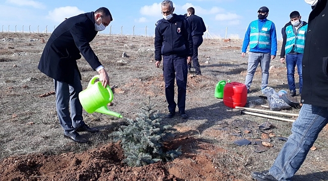 Adalet Ormanı'na fidan