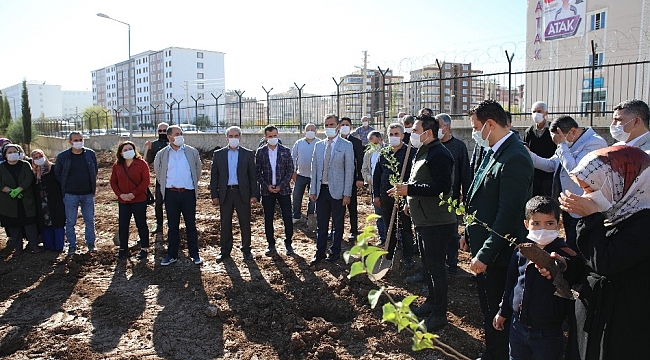 Adıyaman'da fidan dikimleri devam ediyor