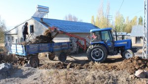 Ağrılı çiftçiler topraktan verim almak için hayvan gübresi kullanıyor