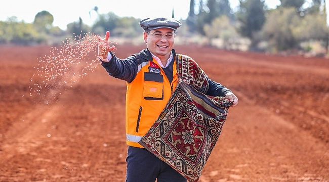 Antalya Orman Çiftliği'ne 10 ton ekmeklik buğday ekildi