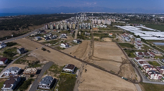 Antalya'da şehrin göbeğine buğday tarlası