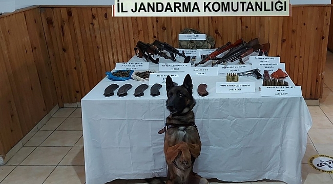 Ardahan'da şafak vakti silah kaçakçılarına operasyon