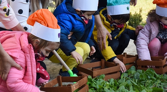 Bahçede ürün yetiştiren minikler hasatlarını da kendileri yaptı