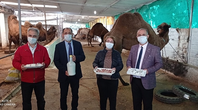 Başkan Kaya, deve sütü ürünlerini tanıttı