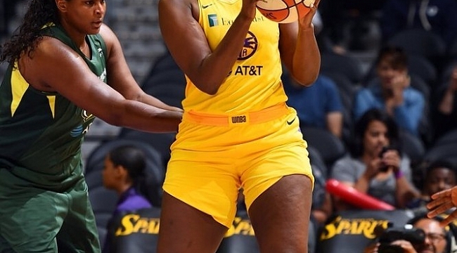 Bellona Kayseri Basketbol Brown'u bekliyor