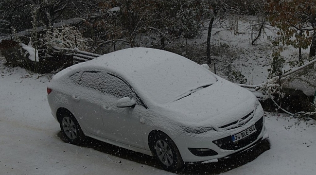 Bitlis'e mevsimin ilk karı yağdı