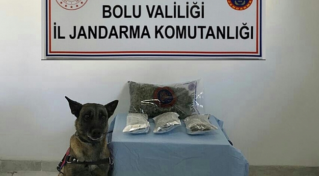 Bolu'da 1 kilo esrarla yakalanan şahıs tutuklandı