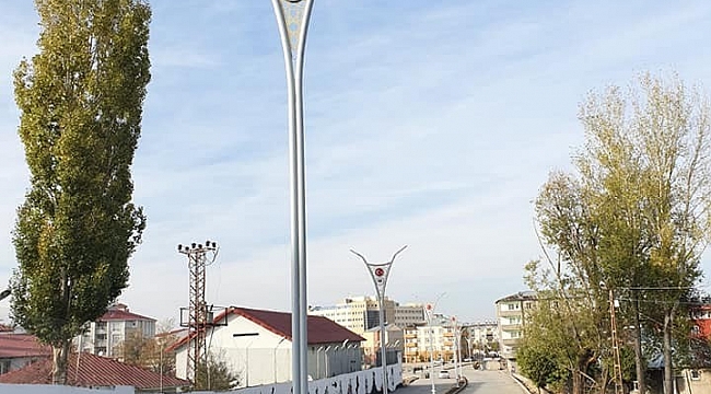 Bulanık'taki cadde ve sokaklara modern aydınlatma direkleri yerleştirildi