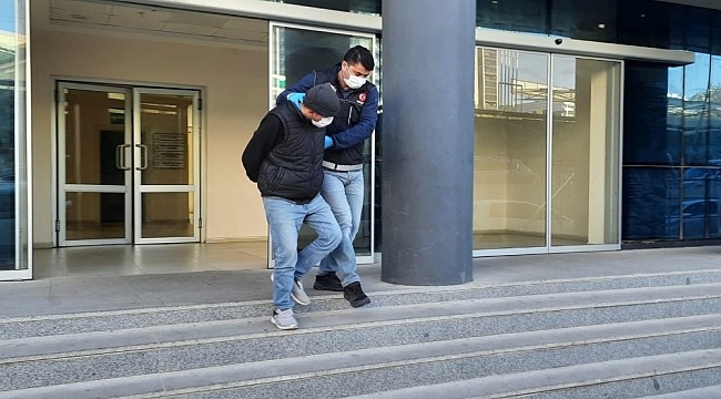 Bursa'da 10 kilo bonzai ele geçirildi