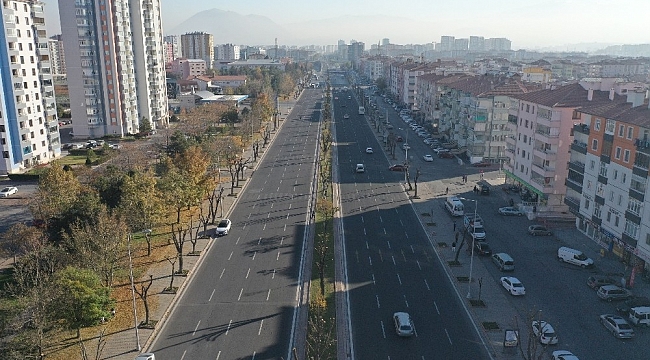 Büyükşehir'den ağaçlara 'kış' bakımı