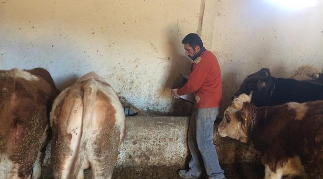 Çiftçiler girdi maliyetlerinin düşmesini bekliyor