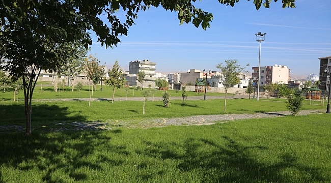 Cizre'de park yapım çalışmaları